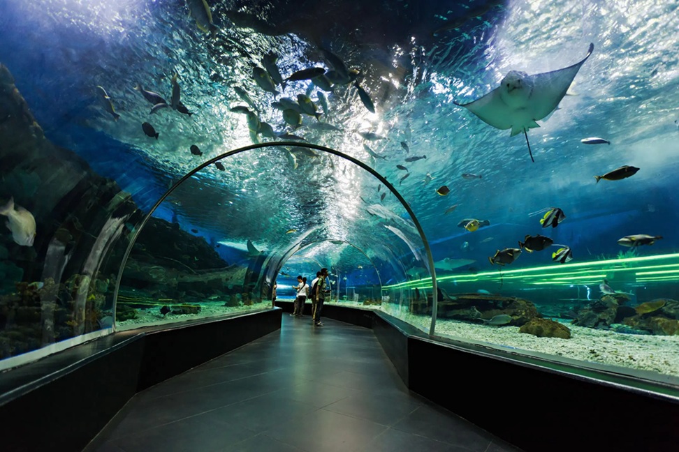 Dubai Aquarium